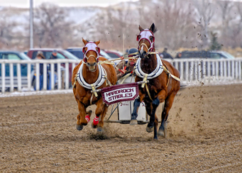 horse racing